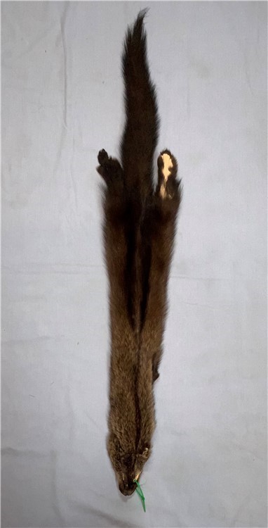 #1 Fisher Pelt n/feet (NEW)-img-0