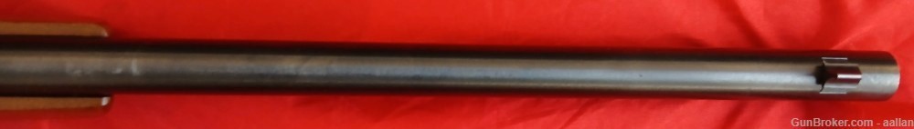 Winchester 190 22lr-img-10