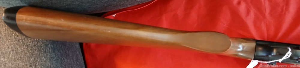 Winchester 190 22lr-img-11