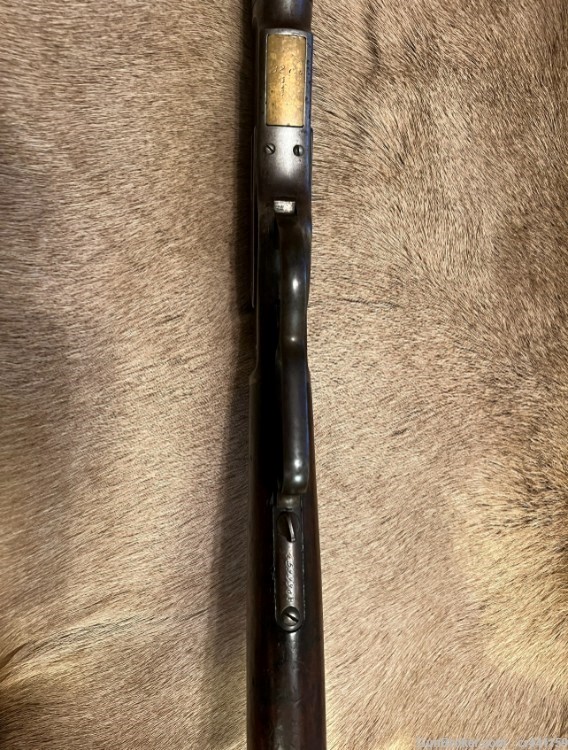 1873 Winchester-img-4