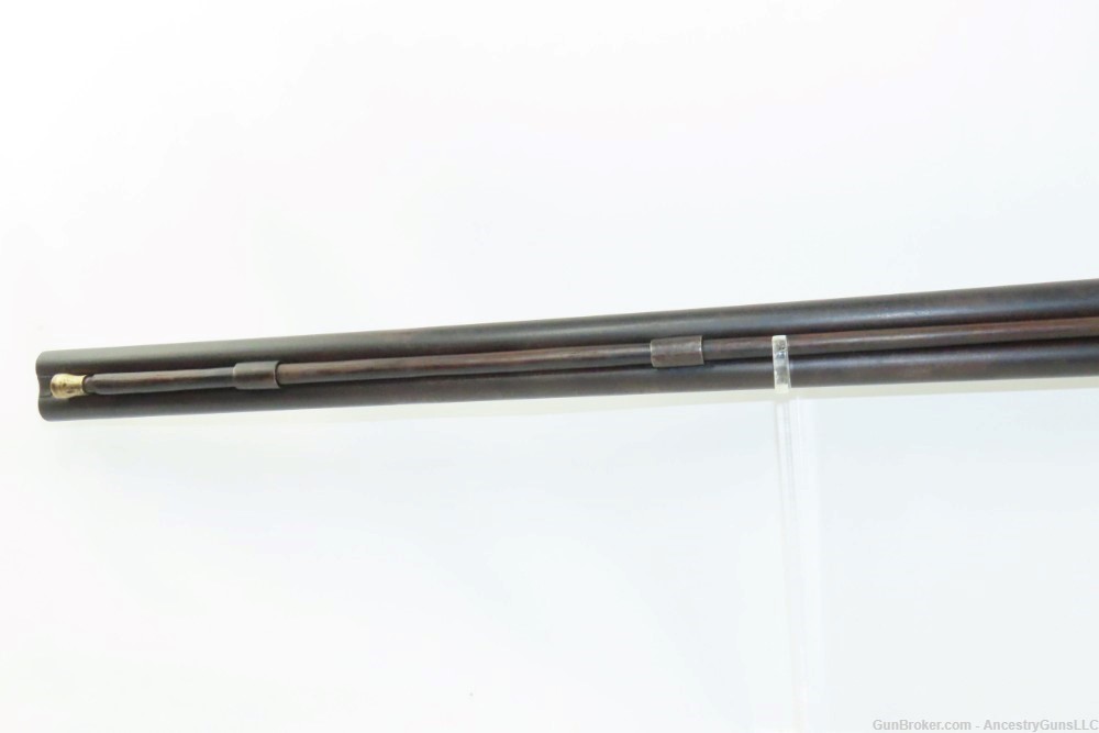 Dog Head Hammers British PERIN GAFF c1860s Antique Double Barrel SHOTGUN   -img-9