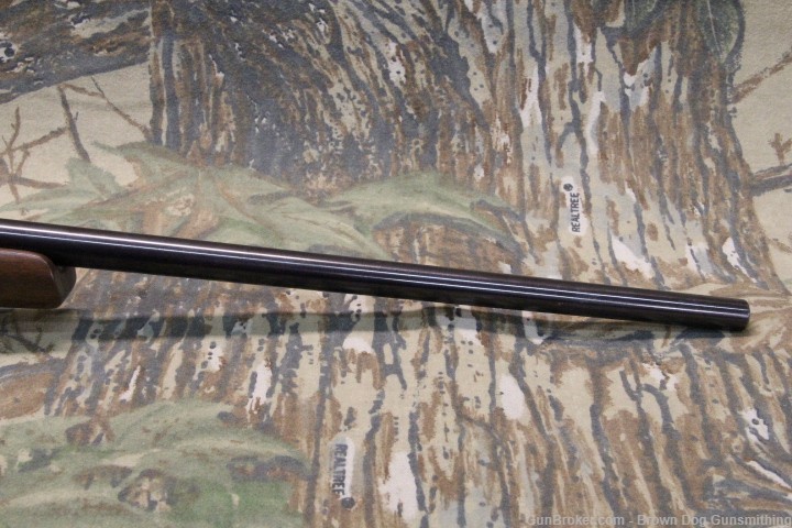CZ 550 American chambered in 243 Winchester-img-4