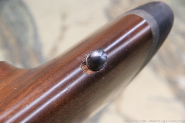 CZ 550 American chambered in 243 Winchester-img-25