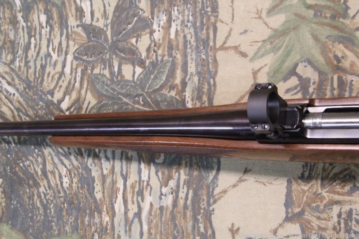 CZ 550 American chambered in 243 Winchester-img-12