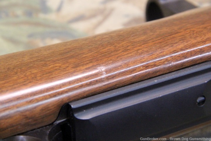 CZ 550 American chambered in 243 Winchester-img-32