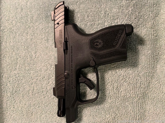Ruger LCP Max-img-2