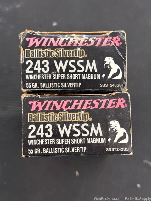 Winchester Ballistic Silvertip 243 WSSM - .243 55 gr. SBST243SS-img-0