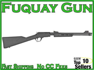 Rossi RP22 Gallery 22 LR 22LR RP22181SY Rossi Gallery Rifle