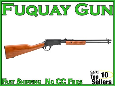 Rossi RP22 Gallery 22 LR 22LR RP22181WD Rossi Gallery Rifle