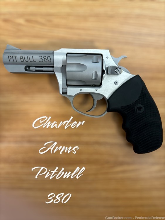 Charter Arms Pit Bull 380 6 rounds NO RESERVE HIGH BIDDER WINS-img-0