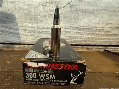 300 WSM .300 Winchester Short Magnum silvertips 180 GRAIN box of 20 Rds