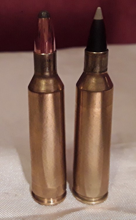 60 x Reload Ammo Rounds COMPONENTS ONLY Caliber .22-250 REM For SAVAGE-img-1