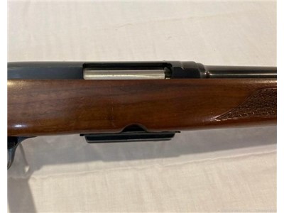 Winchester Model 88 243 Win 1971