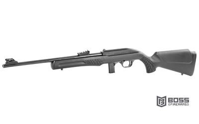 ROSSI RS22 22LR 18in 10RD BLK-img-2