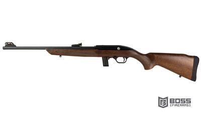 ROSSI RS22 22LR 18in 10RD WOOD-img-0