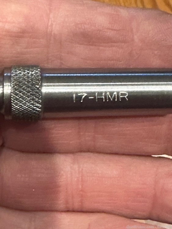 stinger pen  barrel 17 HMR -img-0