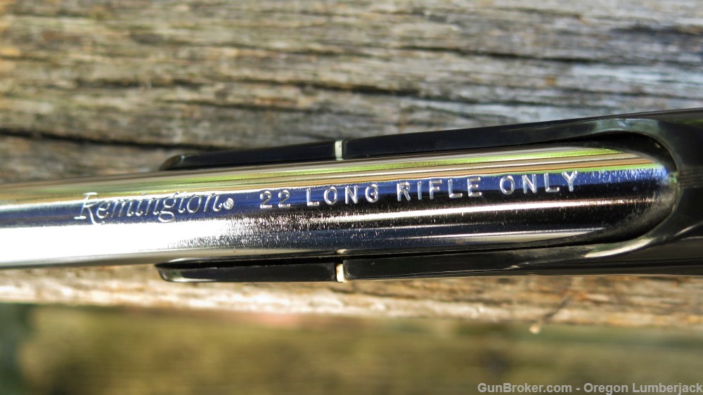 Remington Nylon 66 .22 LR Apache Black and Chrome Near Mint from 1978 USA! -img-23