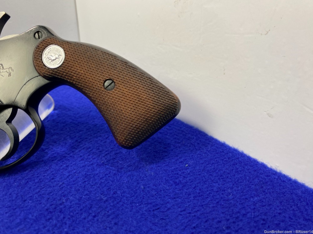 1967 Colt Cobra .38 Special Blue 2" *STUNNING FIRST ISSUE SNAKE*-img-5