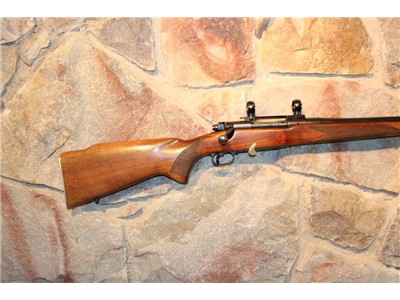 Winchester Model 70 .308Norma with Scope Mounts NICE!  Ca. 1953 REDUCED!