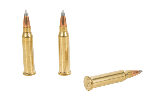 .17 Ammo - GunBroker.com