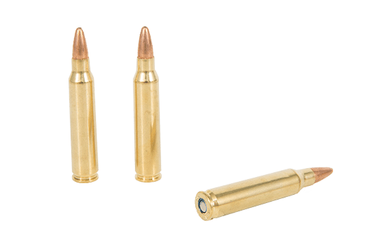 .223 Pump-Action Rifles for Sale