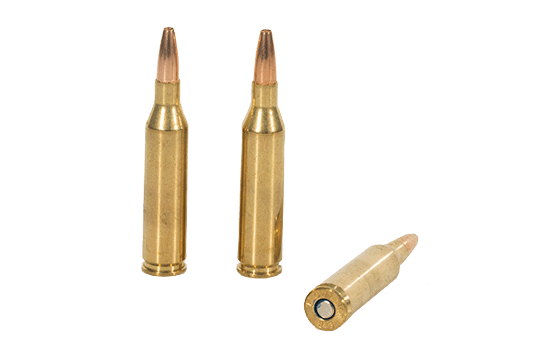 Shop .243 Single-Shot Rifles