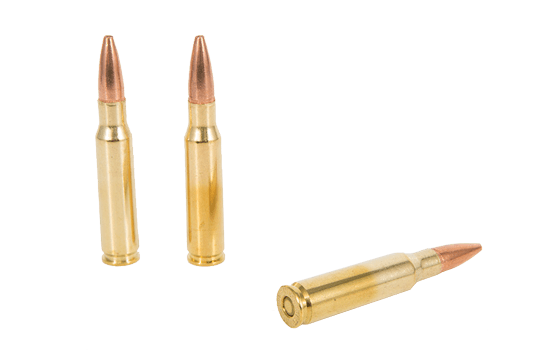 .308 Ammo