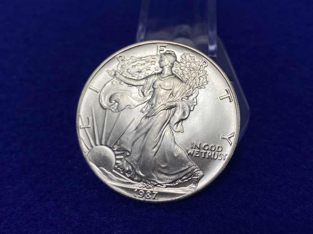 20) Silver Eagle *DESIRABLE 1987 DATE* Full Tube 20 Troy Ounces SILVER *BU*-img-5