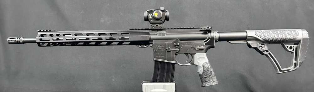 Custom AR15 PSA / Ballistic Advantage-img-0