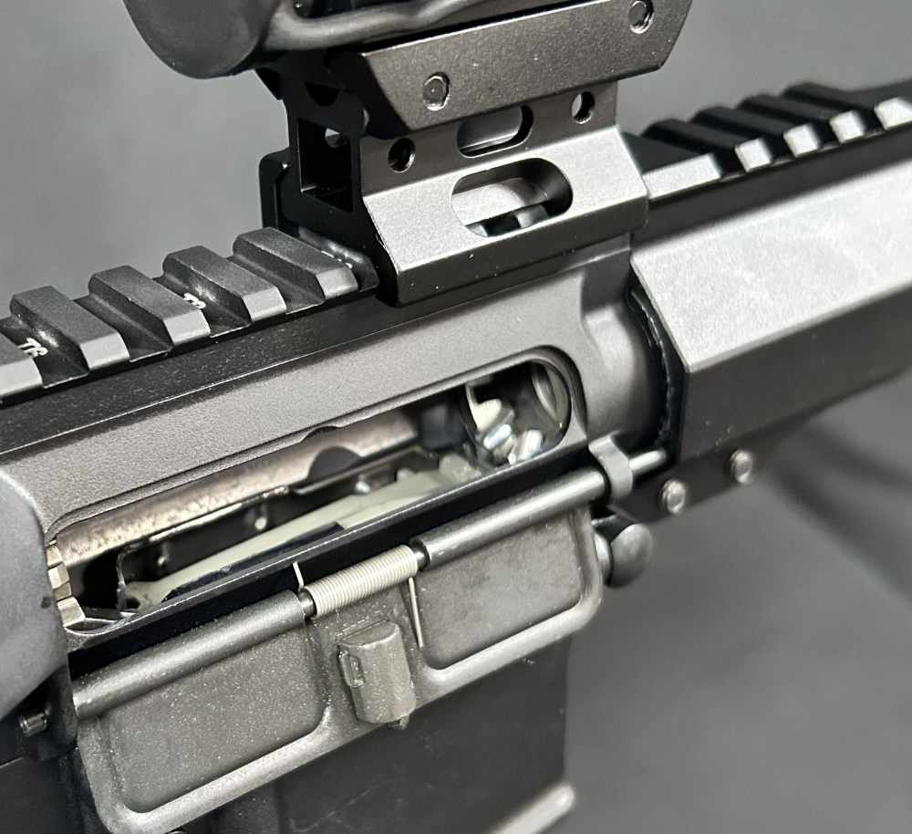 Custom AR15 PSA / Ballistic Advantage-img-9