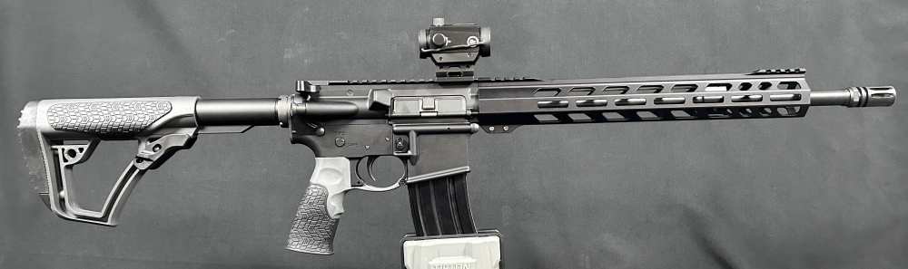 Custom AR15 PSA / Ballistic Advantage-img-1