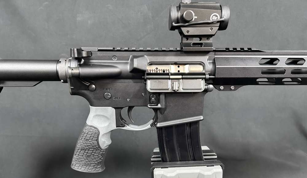 Custom AR15 PSA / Ballistic Advantage-img-3