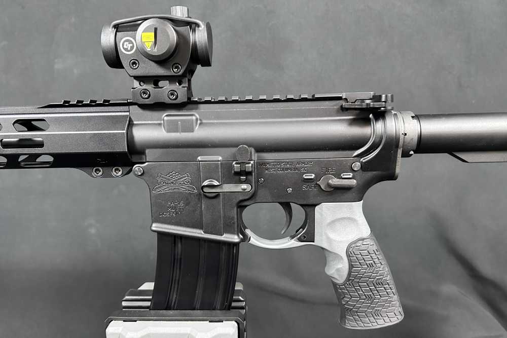 Custom AR15 PSA / Ballistic Advantage-img-4