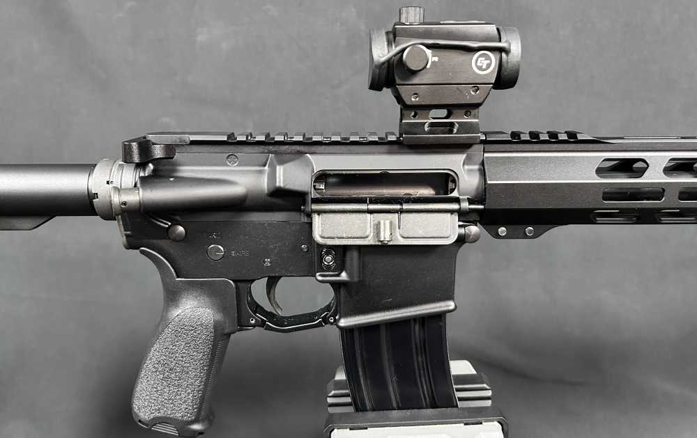 Custom AR15 PSA / Ballistic Advantage-img-2