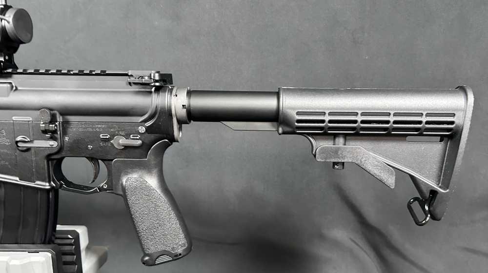 Custom AR15 PSA / Ballistic Advantage-img-8