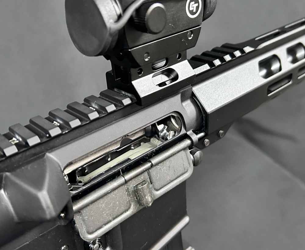 Custom AR15 PSA / Ballistic Advantage-img-10