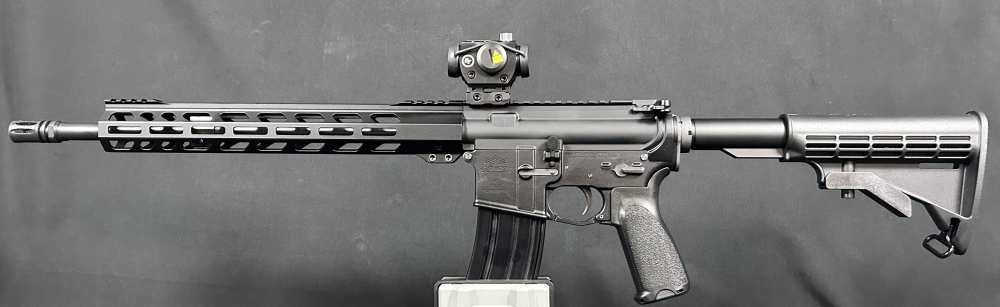 Custom AR15 PSA / Ballistic Advantage-img-0