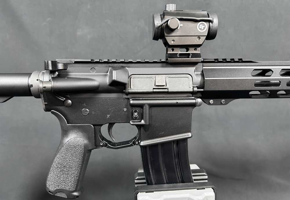 Custom AR15 PSA / Ballistic Advantage-img-5