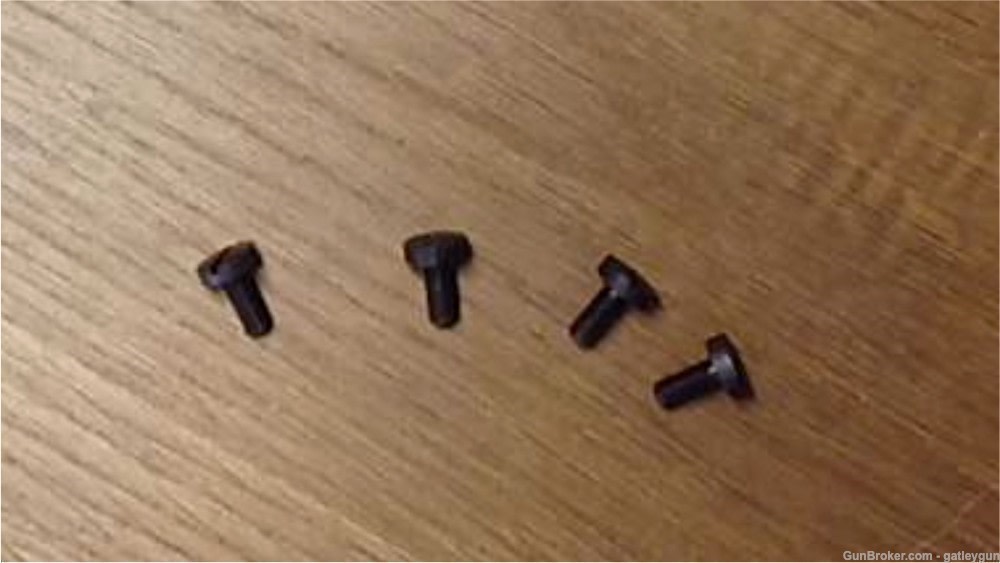 Beretta Tom Cat .32 (Grip Screws Qty 4 NEW)-img-0