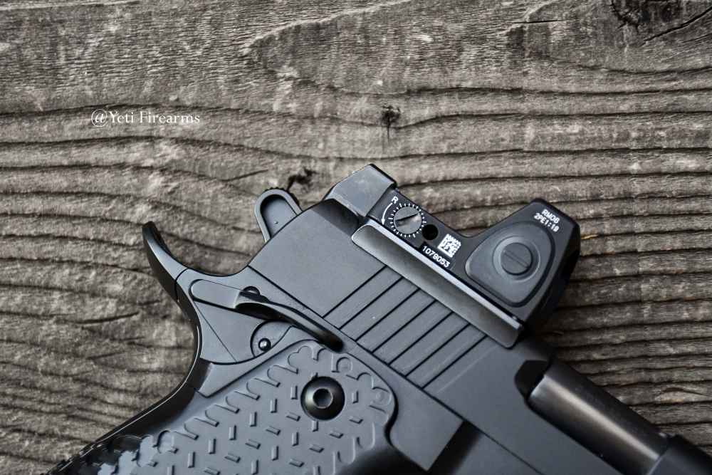 Guncrafter Custom Hellcat X2 Government 9mm Ported RMR Ambi Extras -img-12