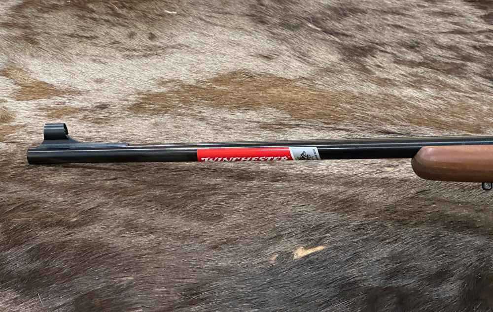 WINCHESTER MODEL 70 ALASKAN 300 WIN MAG 25" GOOD WOOD, FREE SAFARI-img-13
