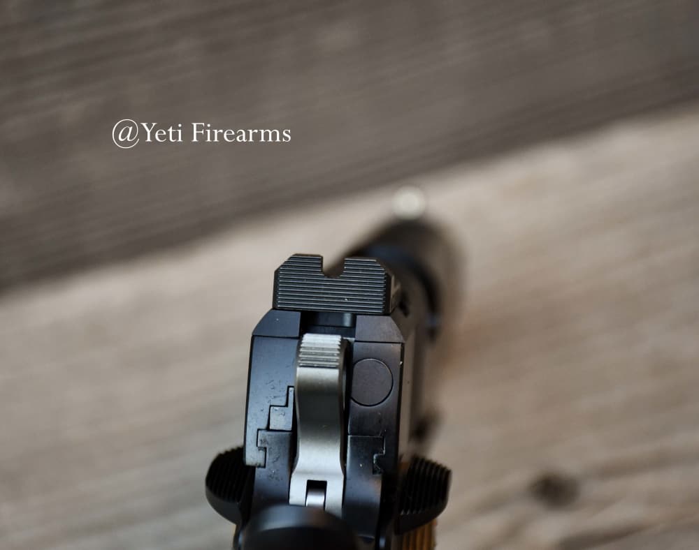 Dan Wesson Optic Ready Specialist 1911 .45 ACP Duty Black 01799 -img-13