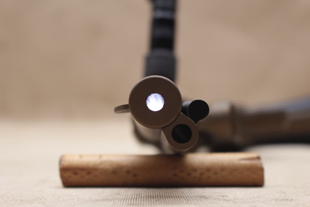 Ruger Wrangler .22-img-23