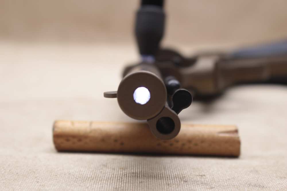 Ruger Wrangler .22-img-21