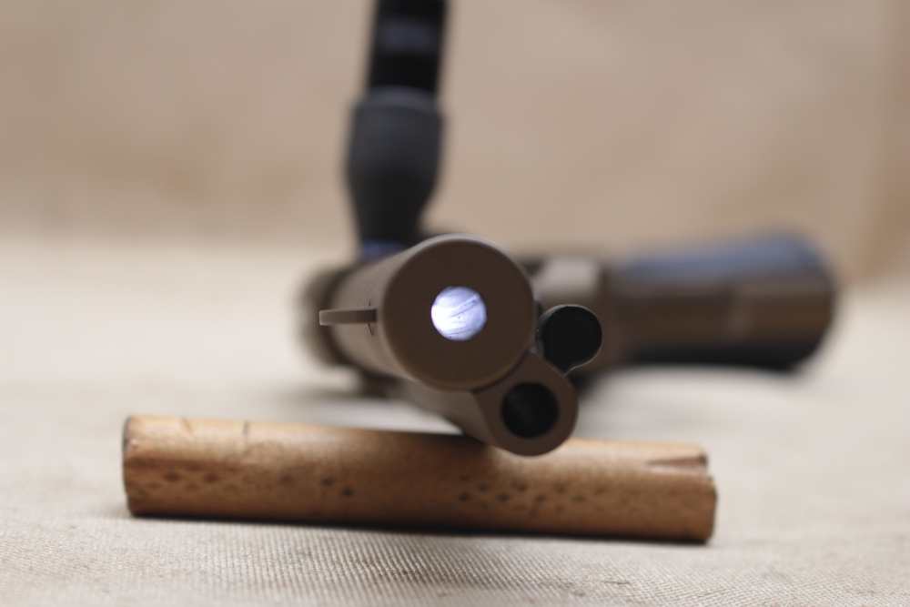 Ruger Wrangler .22-img-24