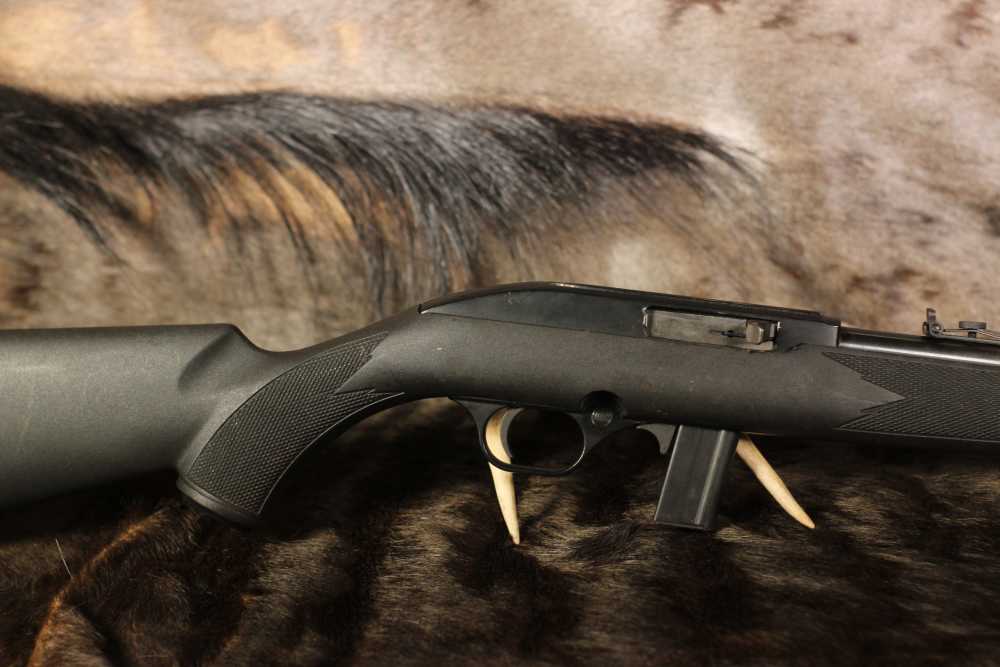 Mossberg 702 Plinkster - .22 LR-img-0
