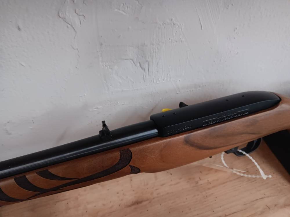 Ruger 10/22 Eagle .22lr -img-5