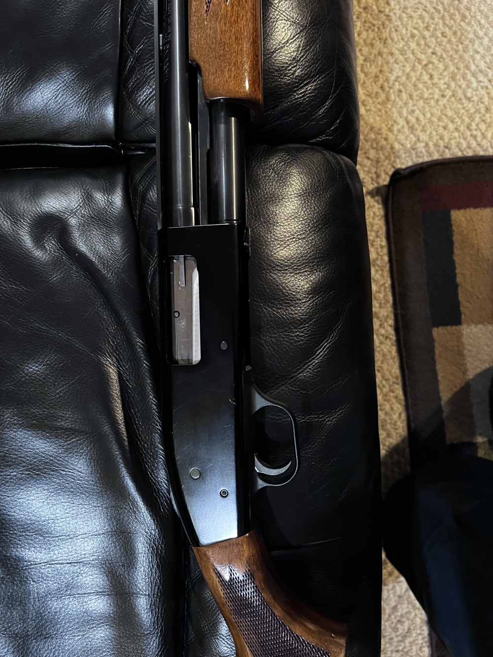 Beautiful Mossberg-img-0