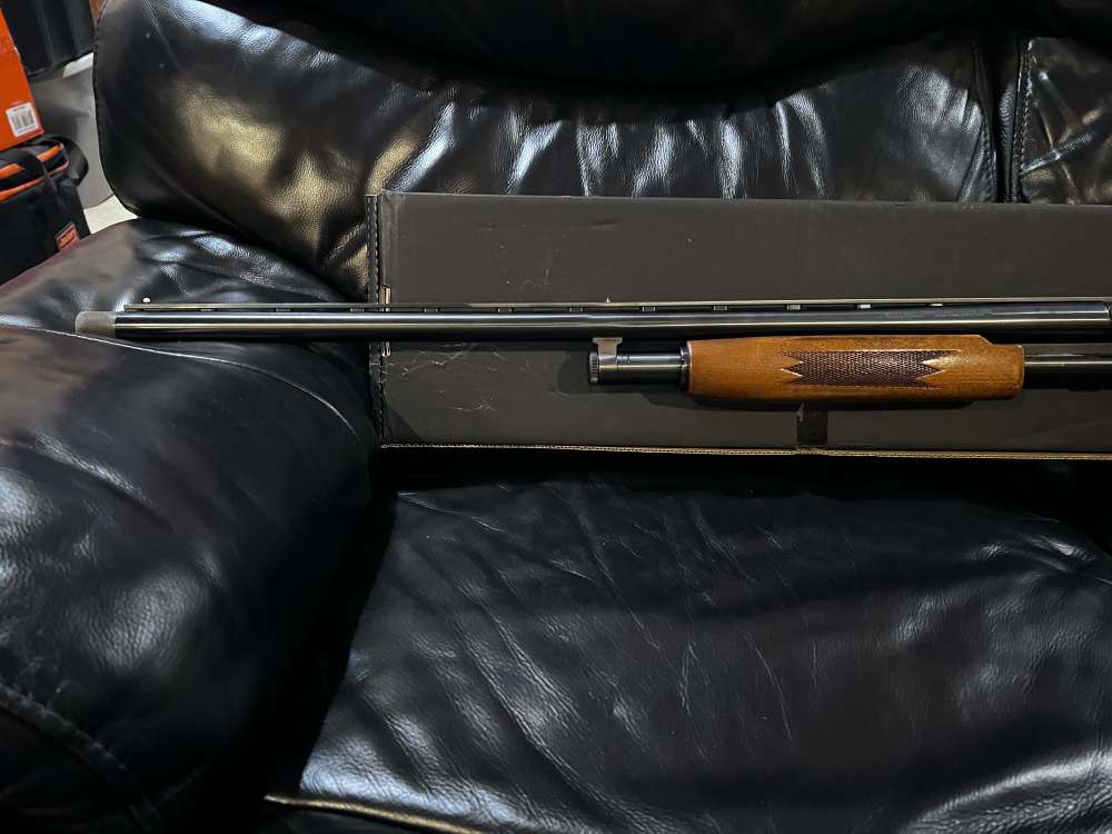 Beautiful Mossberg-img-4