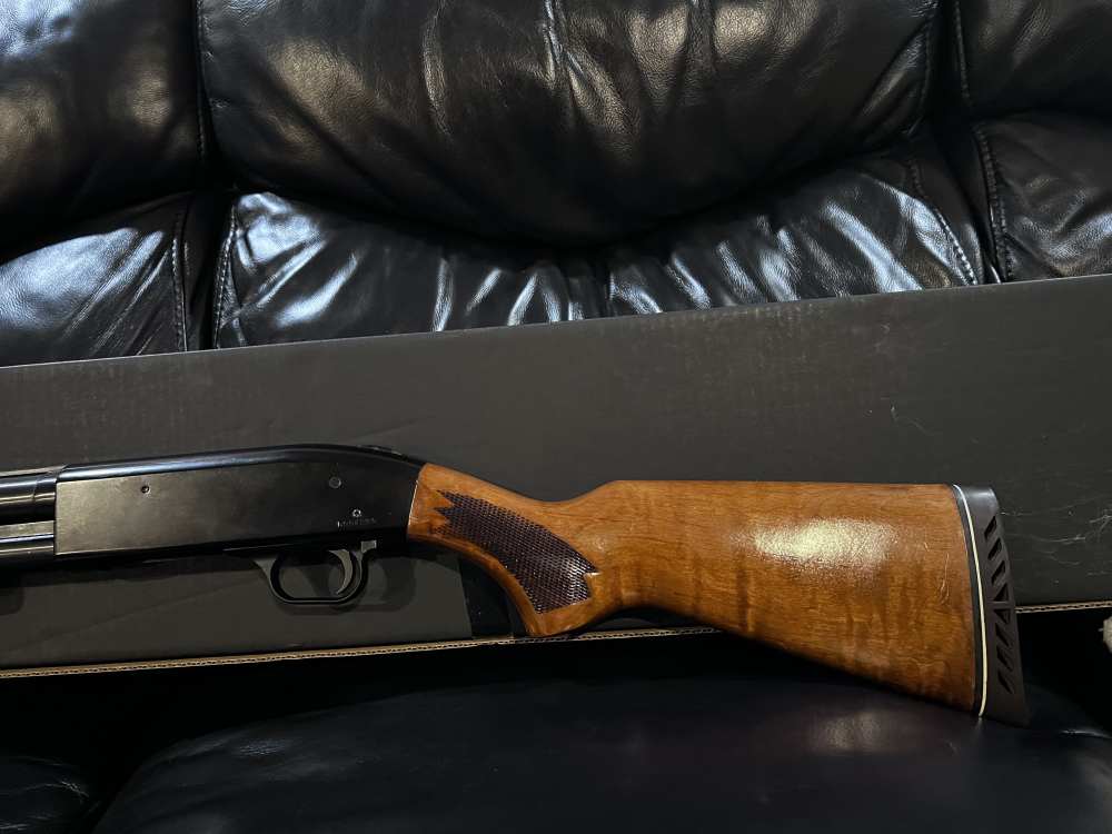 Beautiful Mossberg-img-3